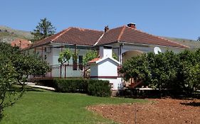 Apartment Nada